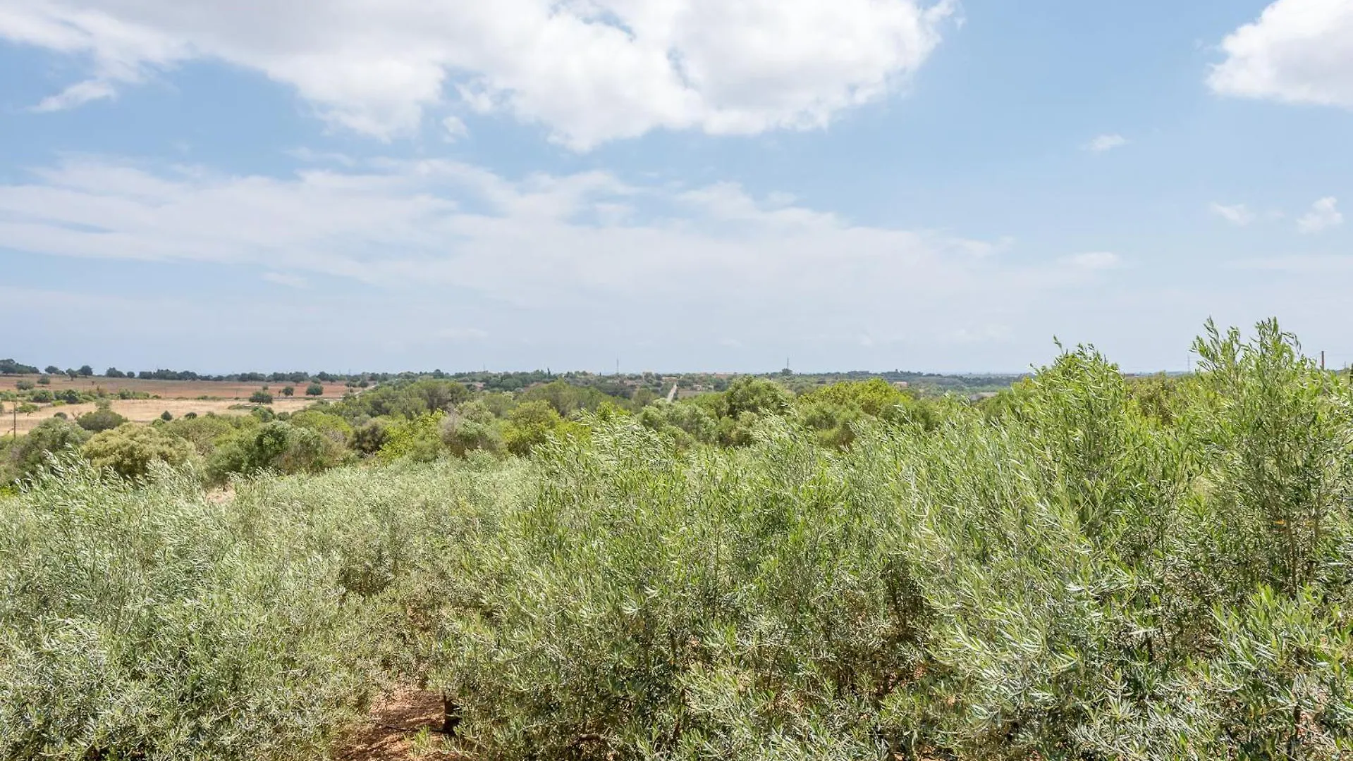 Holiday home Finca Ses Oliveres By Mallorca House Rent Son Carrio