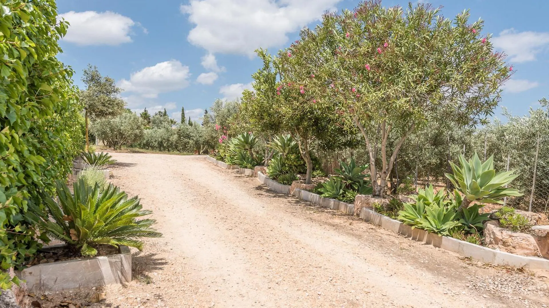 Finca Ses Oliveres By Mallorca House Rent Son Carrio  Spanien